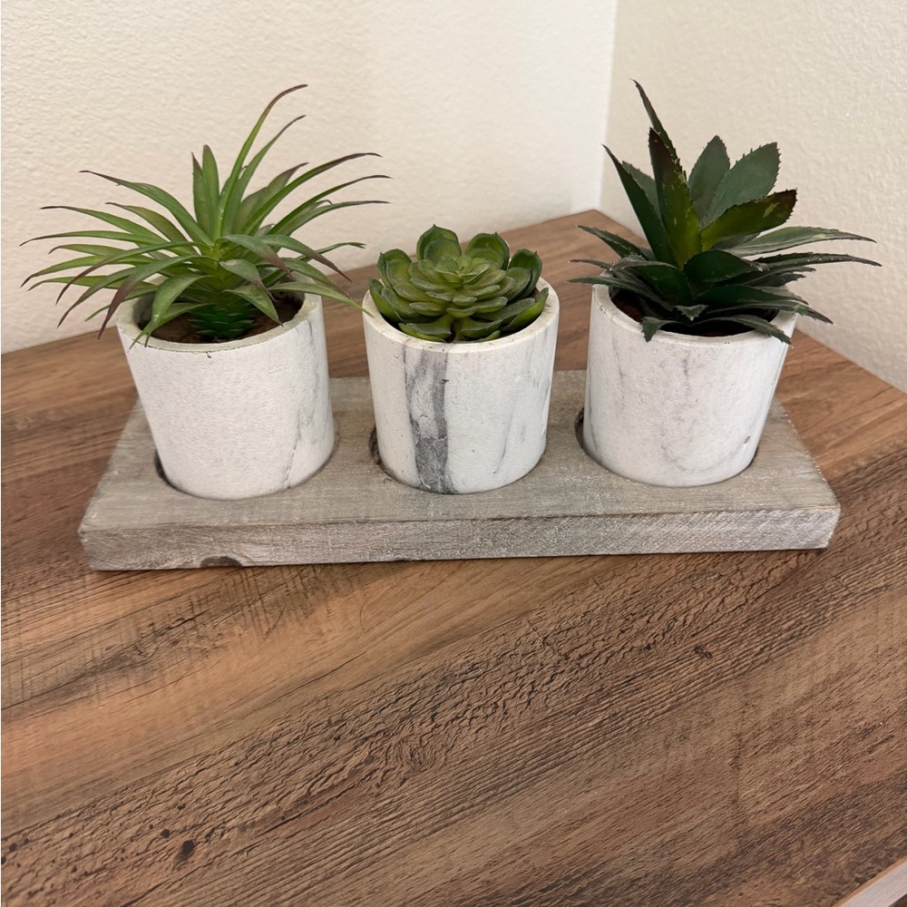 Three-Pot White Concrete Succulent Planter Set